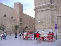 Palma Februar 07 (4) 
